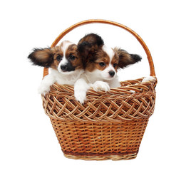 Similar image 8308347