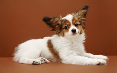 Similar image 8308348