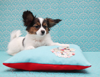 Similar image 8308352