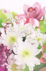 Similar image 8308354