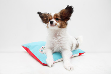 Similar image 8308358