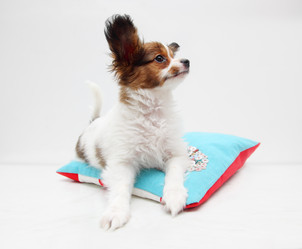 Similar image 8308359