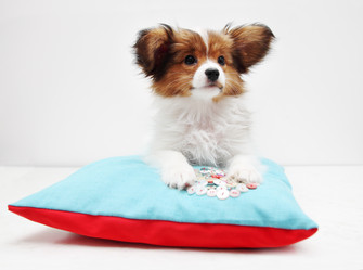 Similar image 8308360