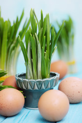 Similar image 8308369