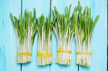 Similar image 8308370