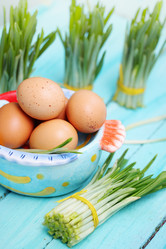 Similar image 8308371