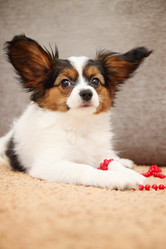 Similar image 8308376