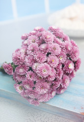 Similar image 8308378