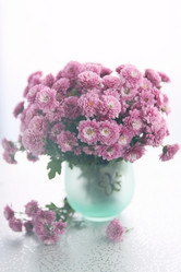 Similar image 8308379