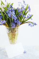 Similar image 8308382