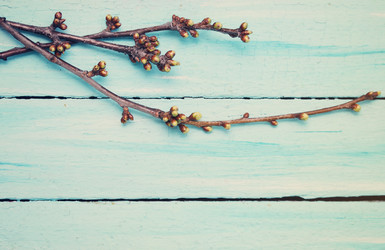 Similar image 8308397