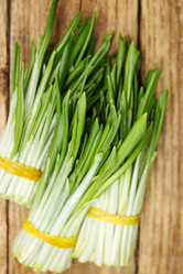 Similar image 8308399