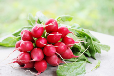 Similar image 8308429