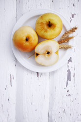 Similar image 8308432