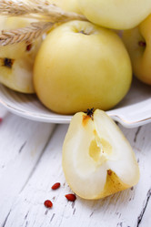 Similar image 8308433