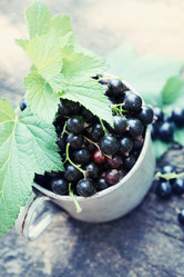 Similar image 8308452