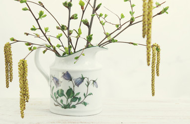 Similar image 8308457