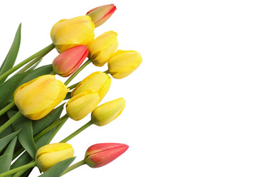 Similar image 8308460