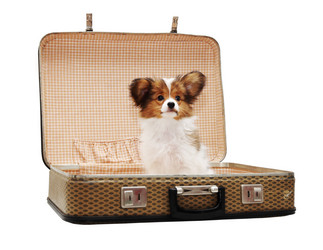 Similar image 8308467