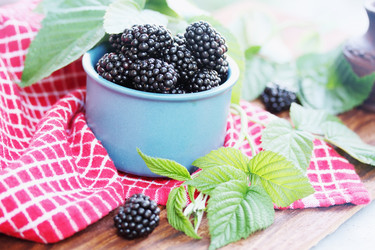 Similar image 8308483