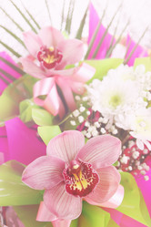 Similar image 8308484