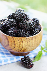 Similar image 8308487