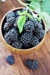 Similar image 8308490