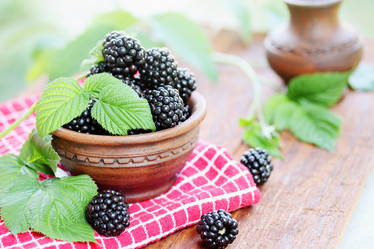 Similar image 8308492