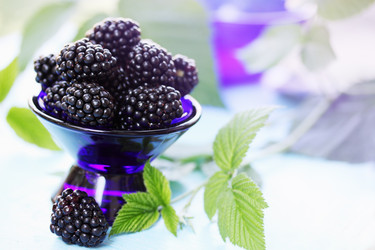 Similar image 8308495