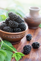 Similar image 8308500