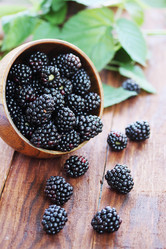 Similar image 8308502