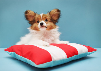 Similar image 8308503