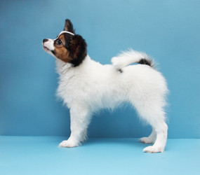 Similar image 8308504