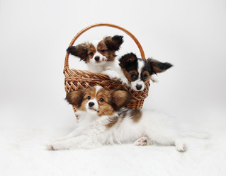 Similar image 8308505