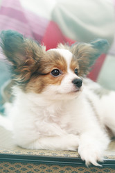 Similar image 8308510