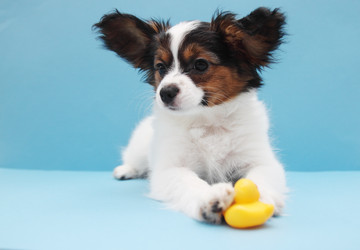 Similar image 8308512