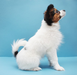 Similar image 8308513