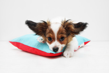 Similar image 8308515