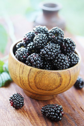 Similar image 8308518