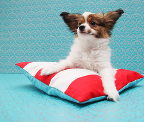 Similar image 8308519