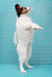 Similar image 8308521