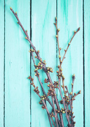 Similar image 8308530