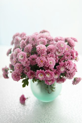 Similar image 8308539