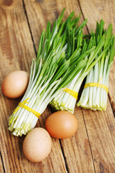 Similar image 8308557