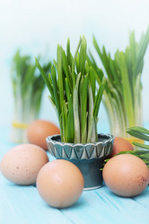 Similar image 8308559