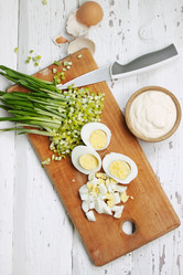 Similar image 8308560