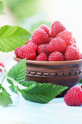 Similar image 8308643