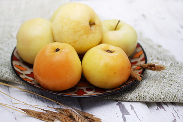 Similar image 8308651