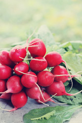 Similar image 8308666