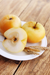 Similar image 8308675